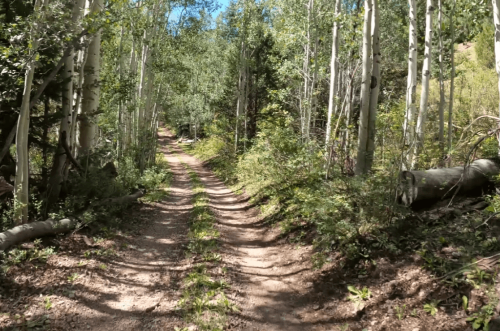 Max Reid Trail