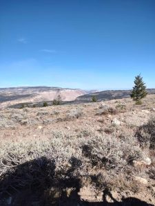 Mary's Lake Trail