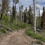 Greenwich Canyon Beginner Road