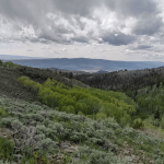 Greenwich Canyon Trail View