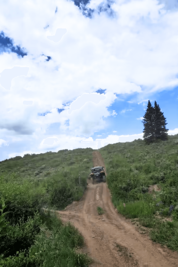 Skyline Drive Trails