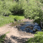 South Fork Greenwich Creek