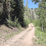 South Fork Greenwich Creek UTV Trail