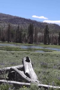 Annabella Reservoir Deep Lake Trail View