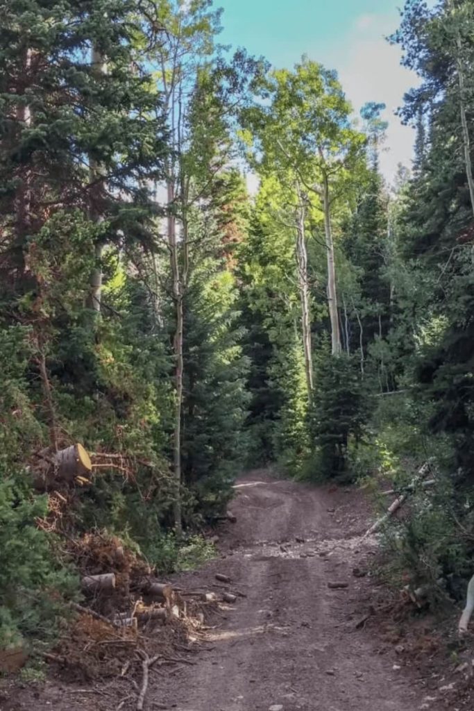 Arapeen Manti Canyon Trail