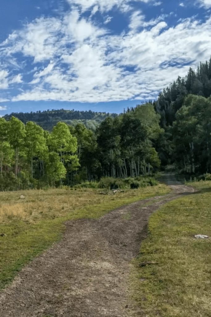 Arapeen Manti Canyon Trail Difficulty