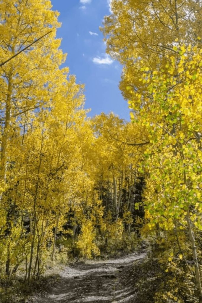 Arapeen Manti Canyon and Milky Falls Trails