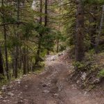 Beaver Creek - Mount Baldy