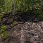 Beaver Creek - Mount Baldy Muddy