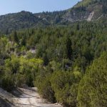 Beaver Creek Ridge Trail