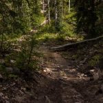 Beaver Creek - Mount Baldy Forest Trail