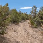 Black Mountain Road Rocky Trail