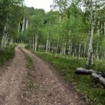 Cove Lake Entry Trail