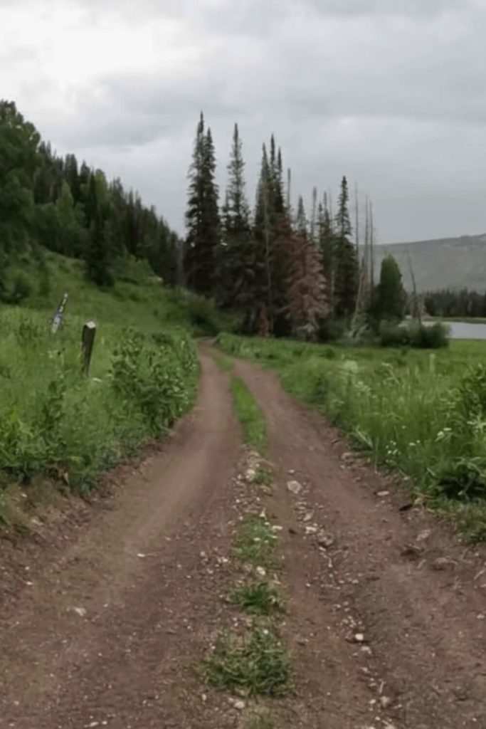 Cove Lake Trail