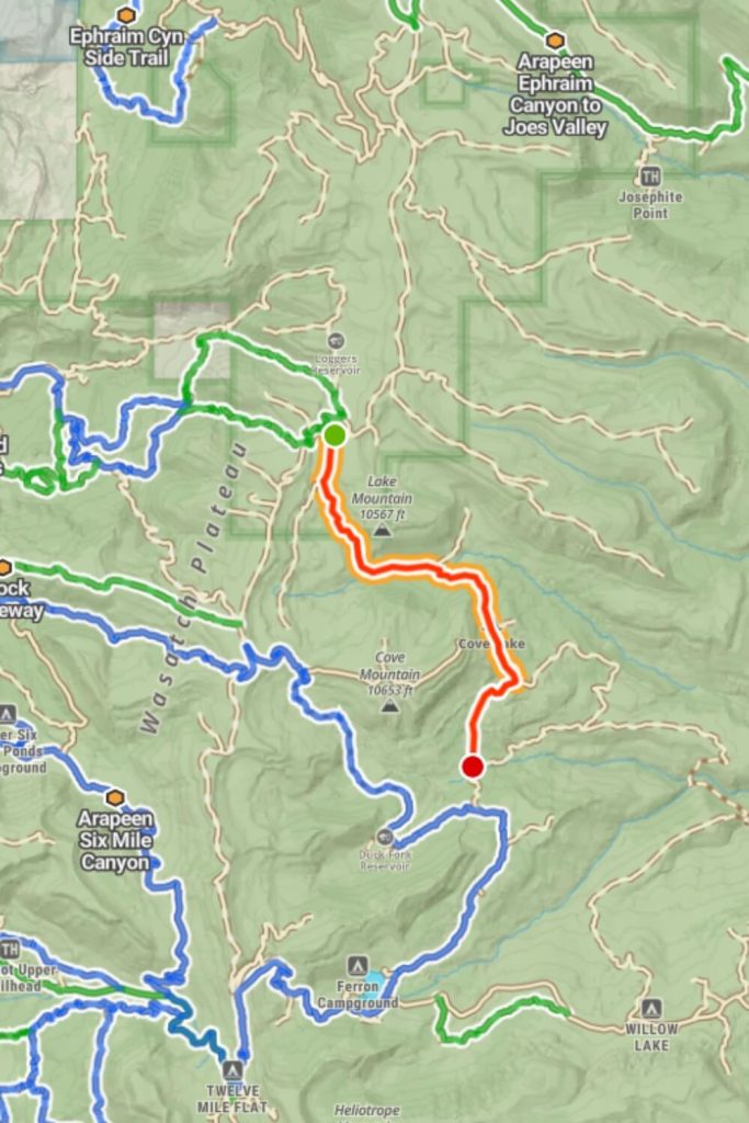 Cove Lake and Willow Bunch Trails Map