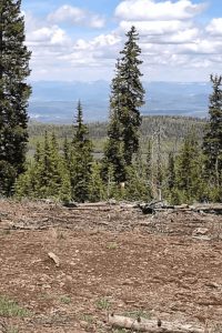 Cove Mountain Road Moderate Trail