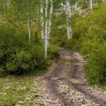 Cowboy Camp Road Muddy Trails