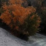 Exiting Manti Canyon Dirt Trail