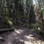 Exiting Manti Canyon Forest Trails