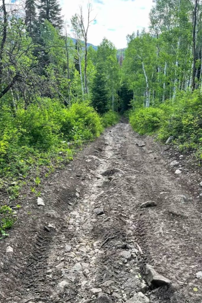 Forest Trail of Patton's Boot