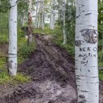 Giant Aspen Trail