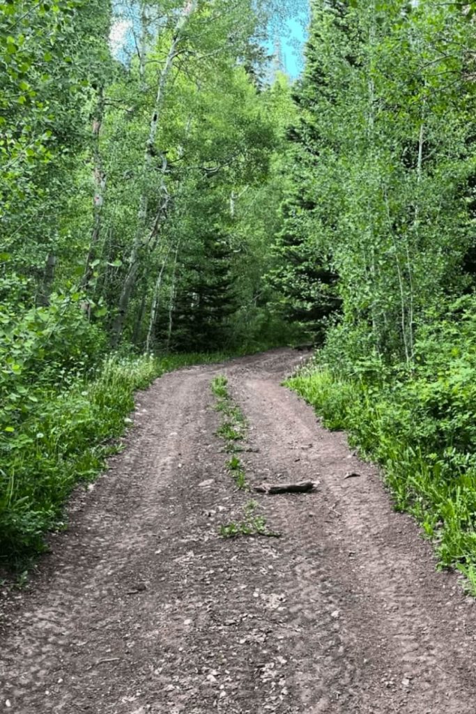 Green Spring Trail Accessibility