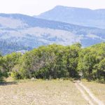 Julius Pasture-South Fork Road Trails