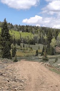 Koosharem Pasture Road Guard Station Forest Trail