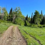 Lowry Fork Fox Run Trail System