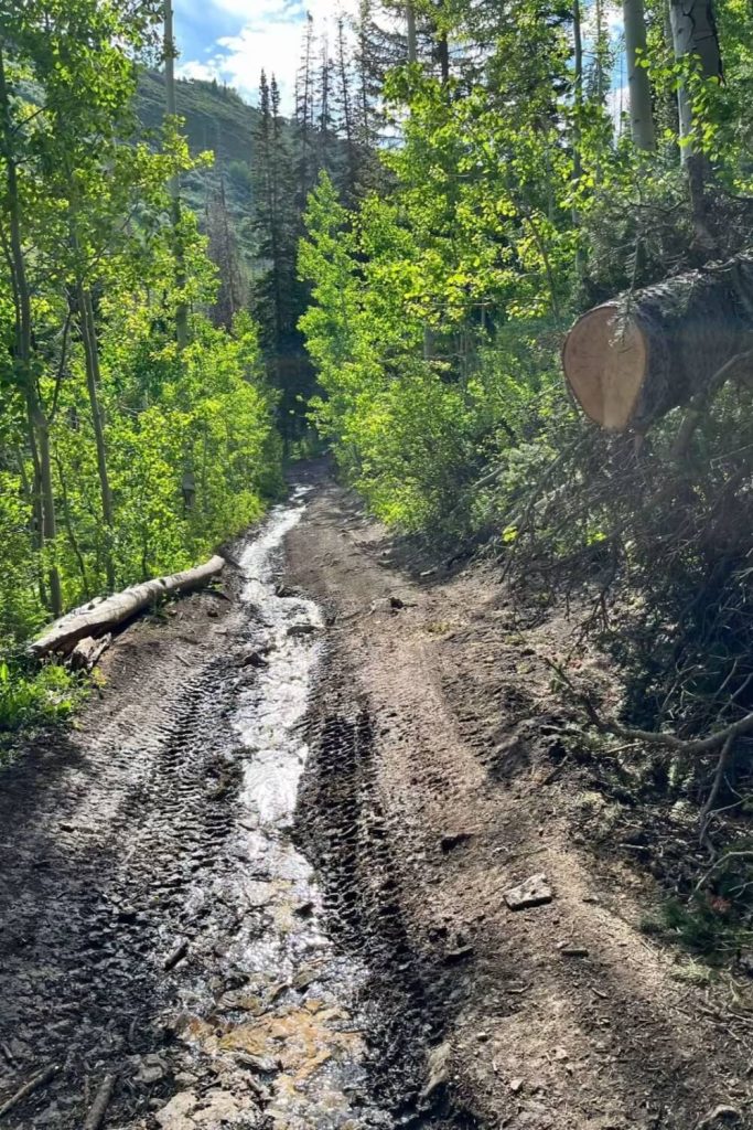 Middle Fork Trail