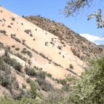 Monroe Canyon Road Canyon