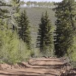 Monroe Mtn Road to Upper Box Creek Reservoir Trail