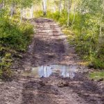 Mount Baldy Road Muddy Trail