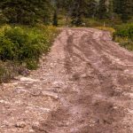 Mount Baldy Road Trail