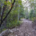 Olsen Canyon Trails and Order Mountain Trail