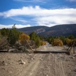 Olsen Canyon Trails and Order Mountain Trail