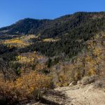 Olsen Canyon Trails and Order Mountain Trails System