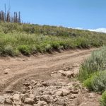 Paiute Side Trail