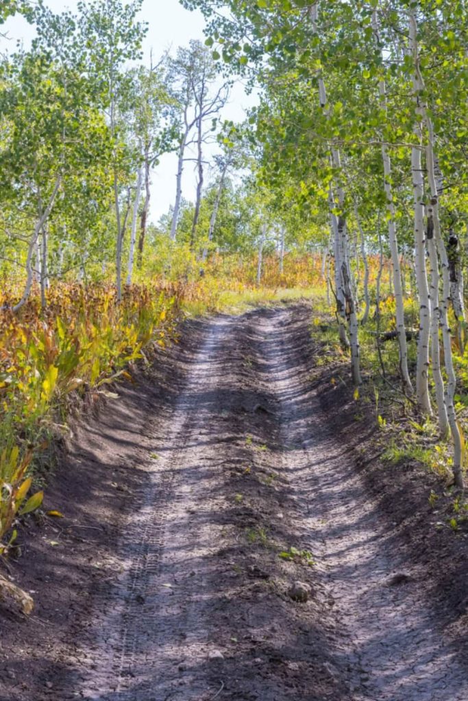 Pinchot to Cowboy Camp Trail