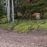 Step Flat Trail Forest