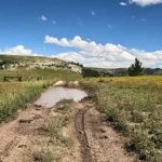 Stock Driveway Easy Trails