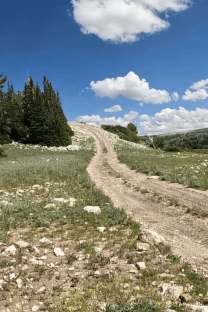 Stock Driveway Trail