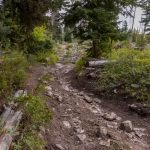 Uneven trail Beaver Creek