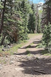 Wapiti Moderate Trail