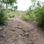 Willow Bunch Rocky Trail