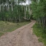 Willow Bunch Trail