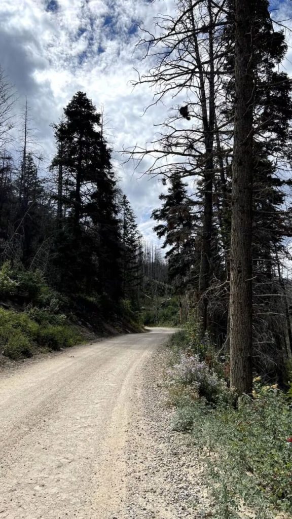 UTV Trails near Mount Pleasant