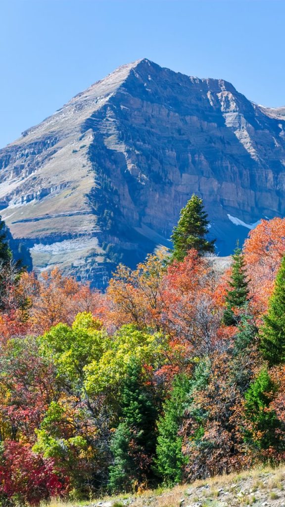 Mount Timpanogos: A Perfect UTV Destination