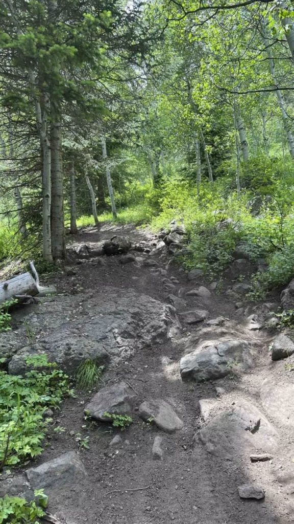 UTV Trails in Wasatch County