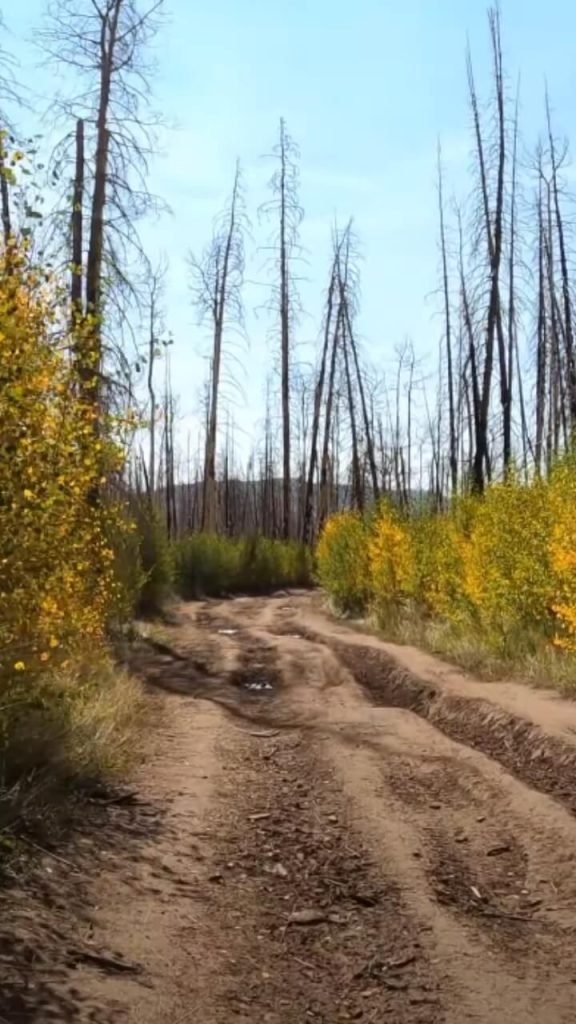 Utah UTV Rentals in Fairview